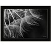 HomeRoots Delicate Beauty Black Framed Print Wall Art - 4 of 4