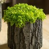 Slickblue Bark Texture Concrete Pot, Round Decorative Planter, 3 Size Options, Indoor/Outdoor Use - 4 of 4
