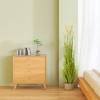 2 Pack 47" Tall Artificial Horsetail Grass Plants in Pots, Realistic Faux Greenery for Indoor Outdoor Home or Office Decoration - 3 of 4