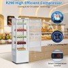Acekool 8.4 Cu.Ft Commercial Refrigerated Display Case, Upright Single Door Display Refrigerator with LED Lighting - 4 of 4