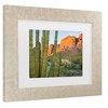 Trademark Fine Art - Alan Majchrowicz Organ Pipe Cactus National Monument Arizona Matted Framed Art - 3 of 4
