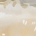 farmhouse gray