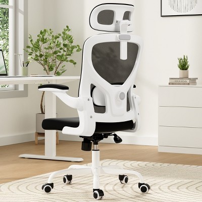 Grungis Task and Office Chairs with Adjustable Lumbar Support,Ergonomic Office Chairs with Flip-up Armrests,Computer Chair for Office