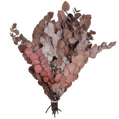 Vickerman Natural Botanicals 18-20" x 9" Eucalyptus Spiral, 100 grams per unit