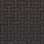 tampa bay buccaneers