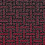 tampa bay buccaneers