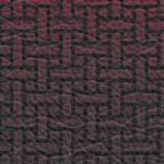 tampa bay buccaneers