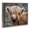Stupell Industries Baby Cattle Licking Lips, 31" x 25" - 3 of 4