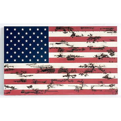 TX USA Corporation American Flag Wall Art - Red, Blue and White Colors Patriotic