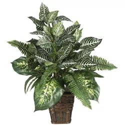 26" x 26" Artificial Zebra Plant with Wicker Pot - Nearly Natural