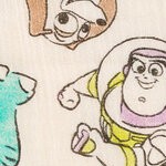 button-down shorts set