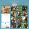 The Gifted Stationery 2025 Square Wall Calendar, Monkeys in Natural Habitat, 16-Month Animals Theme with 180 Reminder Stickers (12 x 12 In) - 4 of 4