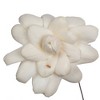 Vickerman 4" Natural Botanicals Dried Sola Flower on Wire Stem - 2 of 4