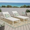 Modern Outdoor Chaise Lounges with Aluminum Frame, Breathable Seating Mesh Patio Recliner Chair, Adjustable Outside Chair -Christopher Knight Home - 2 of 4