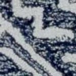 beige, navy, light blue