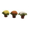 Department 56 Accessory 1.0 Inch Mums For Mom Fall Flower Village Accessories - 2 of 2