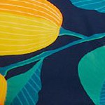 navy blue-lemon
