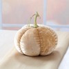 The Lakeside Collection Cream and Gold Harvest Decor - 2 of 4