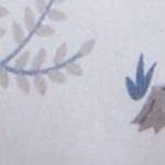 winter wildlife