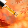 Air Wick Scented Oil - Apple Cinnamon Medley - 5pk - 3 of 4