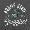 Adams State University Official Grizzlies Adult Pull-Over Hoodie - 2 of 4