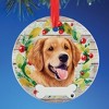 Collections Etc Personalizable Pet Ornament - 2 of 3