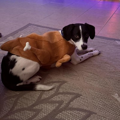 Guest review image 1 of 1, zoom in