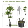 Artificial Plants Indoor, Fake Black Olive Tree with 100 LED Lights Tall Fake Plants in Plastic Nursery Pot - 4 of 4