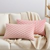REGALWOVEN Soft Fuzzy Plush Decorative Throw Pillow Covers for Sofa Couch Bed Living Room 2 Pcs - 2 of 4