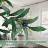 Vitalismo 6/7ft Artificial Olive Tree with Natural Trunk Silk Lifelike Leaves Faux Realistic Fruit Tall Potted Fake Tree for Indoor/Outdoor Home Decor - 3 of 4