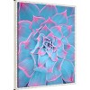 Amanti Art Blue and Pink Succulent by Tom Windeknecht Framed Canvas Wall Art - 3 of 4