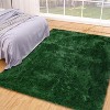 Fluffy Area Rug- Shag Area Rug for Living Room, Shaggy Large Indoor Thick Living Room Carpet with Non-Slip Backing, Soft Plush Carpet - 4 of 4