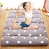 Japanese Futon Mattress for Adults Kids, Japanese Style Futon Floor Mattress, Sleeping Mattress for Floor, Tatami Mat, Roll Up Camping Mattress Pad - 2 of 4