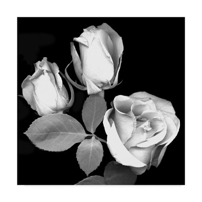 Black and White Rose Canvas Print, 14x14