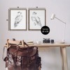 Stupell Industries White Hawk Winter Birds, 17" x 21" - 3 of 4