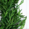 Nearly Natural 8' Artificial Real Touch Norfolk Island Pine Garland with Natural Look - 2 of 4