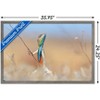 Trends International The Comedy Wildlife Photography Awards: Anup Deodhar - Rockstar Framed Wall Poster Prints - 3 of 4