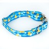 Country Brook Petz Premium Just Ducky Dog Collar - 3 of 4