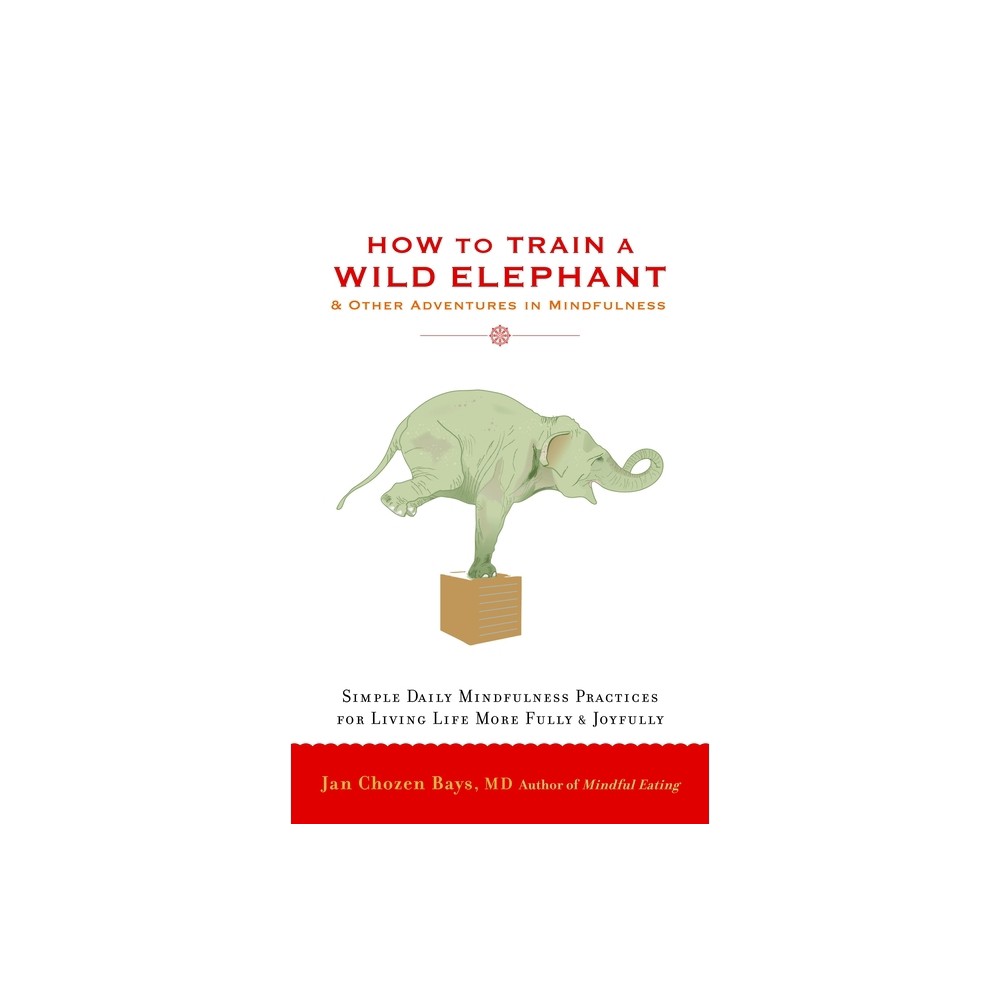 How to Train a Wild Elephant - by Jan Chozen Bays (Paperback)