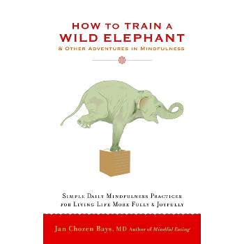How to Train a Wild Elephant - by  Jan Chozen Bays (Paperback)