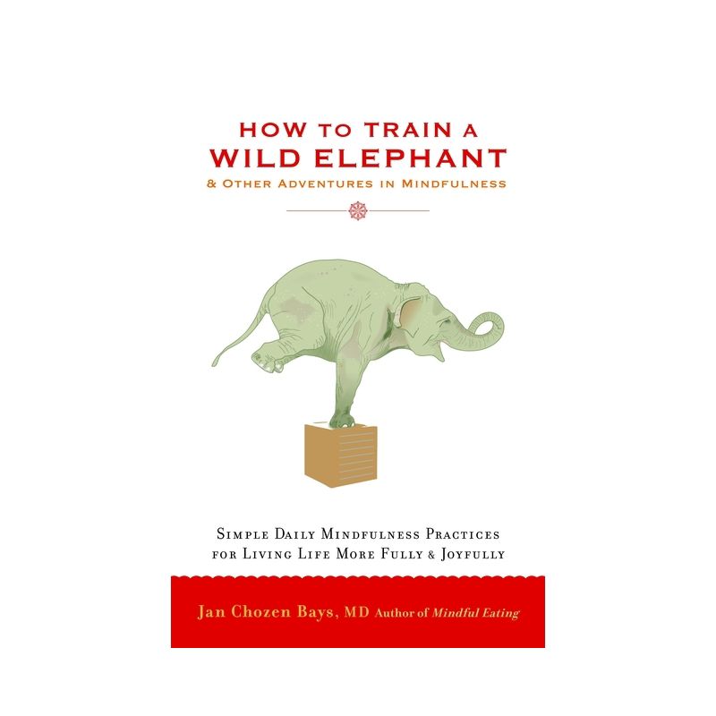 How to Train a Wild Elephant - by  Jan Chozen Bays (Paperback), 1 of 2