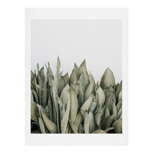 Romana Lilic / LA76 Photography Moonshine Snake Plant Art Print - Society6 - 1 of 2