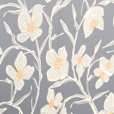 charlotte stems moonless night