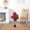 Nearly Natural 3-ft Autumn Pomegranate Artificial Tree - 4 of 4