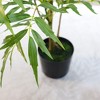 Artificial Mahonia Fortunei Trees, 6FT Tall Fake Plants  Artificial Mahonia Fortunei Plants for Office Home Living Room Patio Greening Porch Decor - 4 of 4