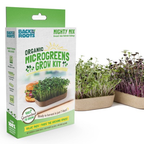 Back to the Roots Organic Microgreen Mighty Mix Grow Kit - 2pk - image 1 of 4