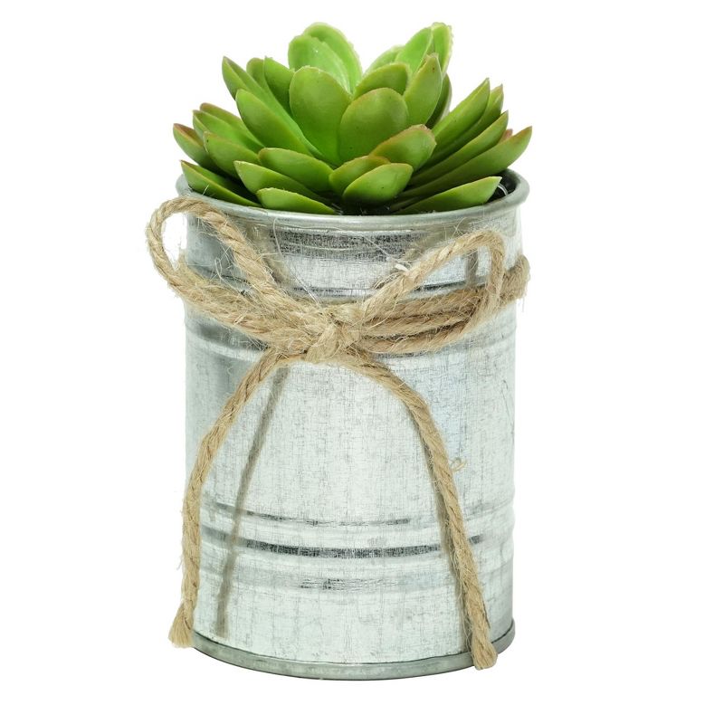 Northlight 7" Sprouting Rose Succulent Artificial Potted Plant - Green/Silver, 1 of 5