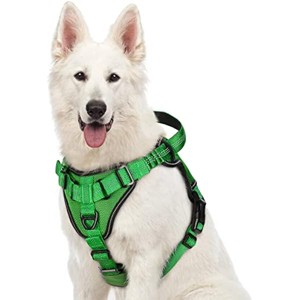 rabbitgoo Dog Harness, No Pull Dog Vest Harnesses with Bungee Shoulder Straps,  Medium Small Dogs - 1 of 1