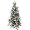 HOMCOM 7ft Prelit Frosted Artificial Christmas Tree with Warm White LED Light, Metal Base, Snow Flocked Branches - 4 of 4
