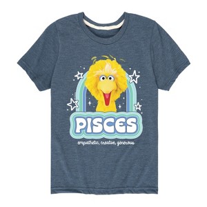 Boys' - Sesame Street - Pisces Big Bird Short Sleeve Graphic T-Shirt - 1 of 4